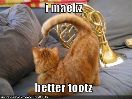 Funny Pictures Orange Kitten Better Toots Horn Matters A French Horn And Brass Site And Resource John Ericson And Bruce Hembd