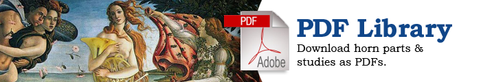 pdf-banner-ad